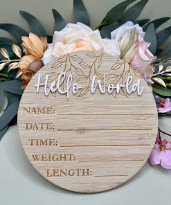 "Hello World" Wooden and Acrylic Disc